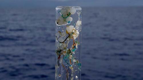 Les plastiques dans les océans sont des radeaux pour les microorganismes 2