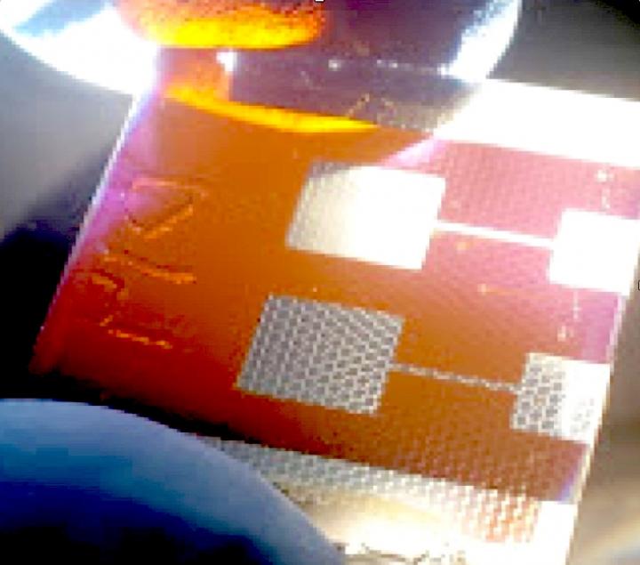 Une nouvelle conception de cellules solaires inspirée des yeux de la mouche 4