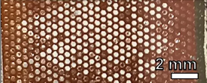 Une nouvelle conception de cellules solaires inspirée des yeux de la mouche 2