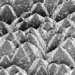 Image microscopique des pyramides de silicium recouvertes de la cellule perovskite© 2018 EPFL