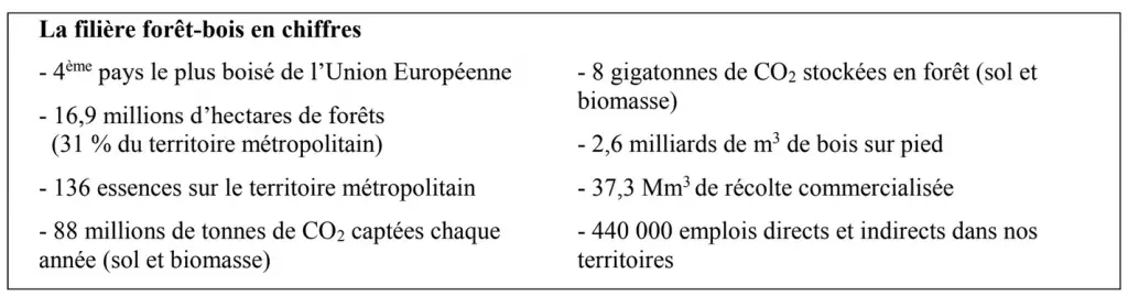 Chauffage au bois : une énergie économique, écologique et locale 4