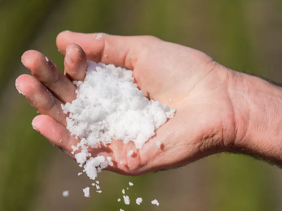 Château Montrose, 1er producteur mondial de bicarbonate de potassium issu du CO2 des fermentations alcooliques 2