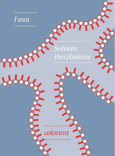 Molécules en extase collective 2
