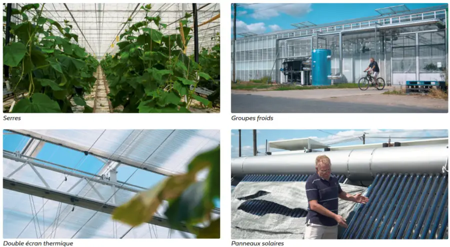 Le domaine agricole des Doigts Verts réduit sa consommation d'énergie de 30% 3