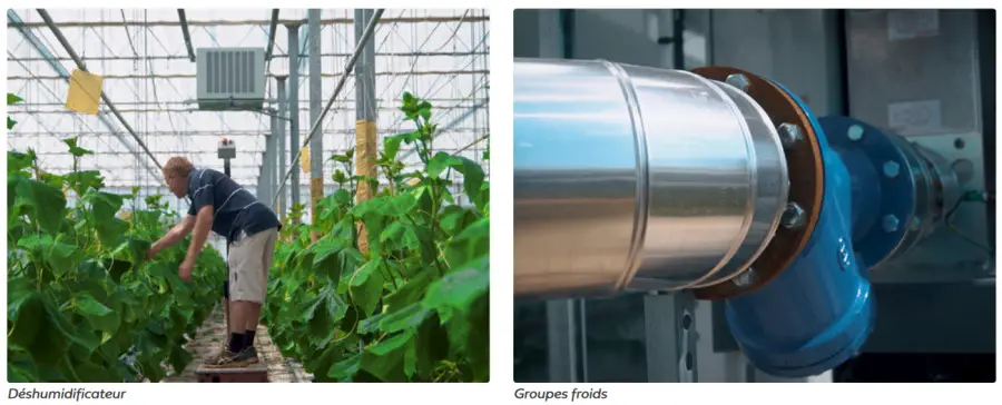 Le domaine agricole des Doigts Verts réduit sa consommation d'énergie de 30% 2