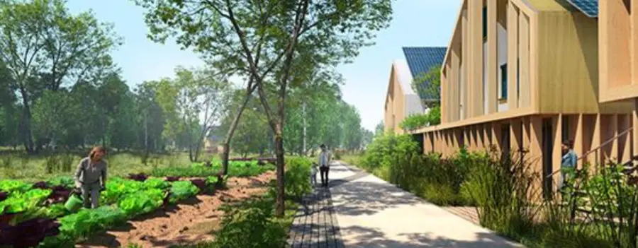 Réhabilitation de friches industrielles : hamo+ recherche les pionniers de la ville 2050 2