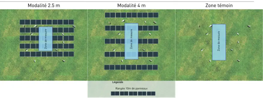 Étudier les effets des centrales solaires sur l’élevage ovin 2