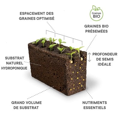 Révolution culinaire : un potager dans votre cuisine, toute l'année 2