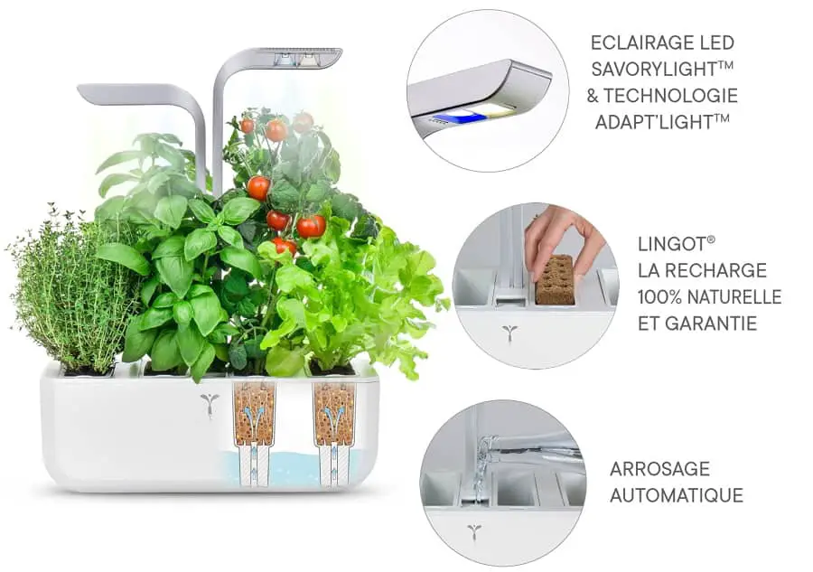 Révolution culinaire : un potager dans votre cuisine, toute l'année 5