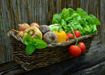 Limoges adopte son pack climat pour tendre vers l'autonomie énergétique et alimentaire