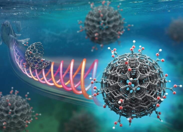 Transformer les déchets de poisson en nanomatériaux de qualité à base de carbone