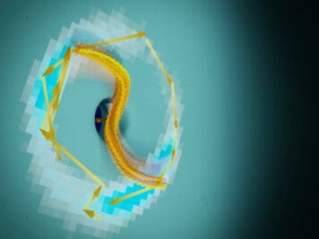 Des chercheurs créent les plus petits moteurs à écoulement du monde 1 Des chercheurs créent les plus petits moteurs à écoulement du monde