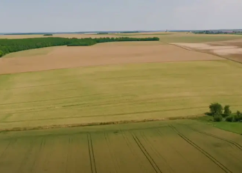 Yonne : 6 collectifs agricoles adoptent l'agrivoltaïsme pour s'adapter aux aléas climatiques