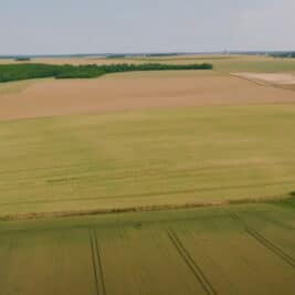 Yonne : 6 collectifs agricoles adoptent l'agrivoltaïsme pour s'adapter aux aléas climatiques