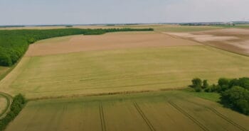 Yonne : 6 collectifs agricoles adoptent l'agrivoltaïsme pour s'adapter aux aléas climatiques