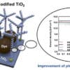 Cellules solaires à colorant (DSSC) : prévention avec des sels fondus