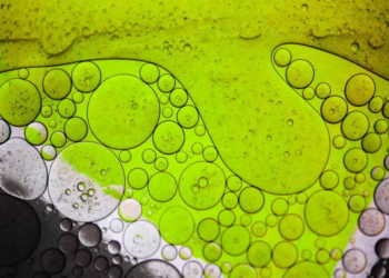 Des ingrédients biosourcés dans les chloroplastes végétaux
