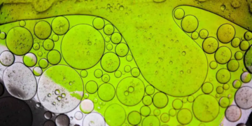 Des ingrédients biosourcés dans les chloroplastes végétaux