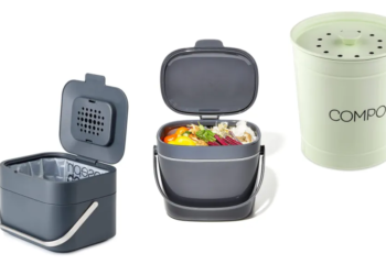 Vos déchets de table dans un bac à compost pour enrichir vos plantes