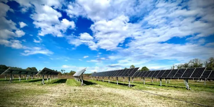 Agrolandes et GLHD prennent livraison de leur prototype agrivoltaïque