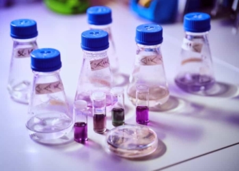 Couleurs éco-criminels : comment rendre le violet plus vert
