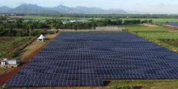 Maurice : l'une des plus grandes centrales solaires trouve son financement