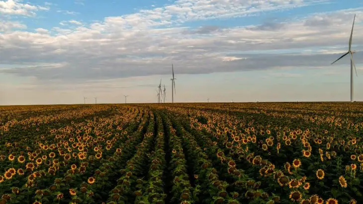 Amazon : nouveau record de volume d’énergie renouvelable acheté par 1 seule entreprise