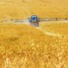 Les émissions de carbone provenant des engrais pourraient être réduites de 80 % d'ici à 2050