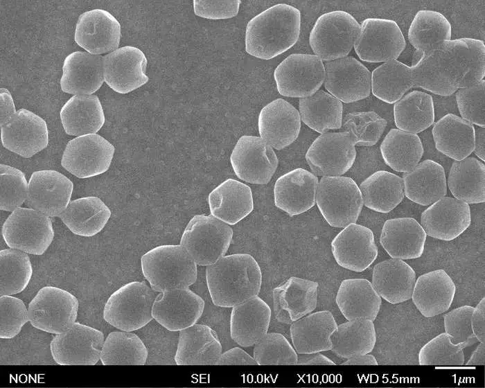 Progrès vers la charge rapide des batteries lithium-métal 2