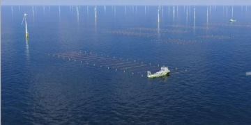 Amazon finance la 1ère exploitation au monde de production d'algues située entre des éoliennes en mer