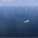 Amazon finance la 1ère exploitation au monde de production d'algues située entre des éoliennes en mer