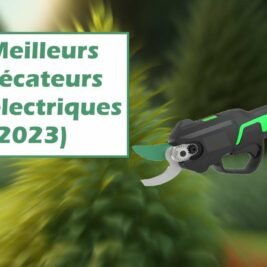 Meilleurs sécateurs électriques (2023) : guide et comparatif