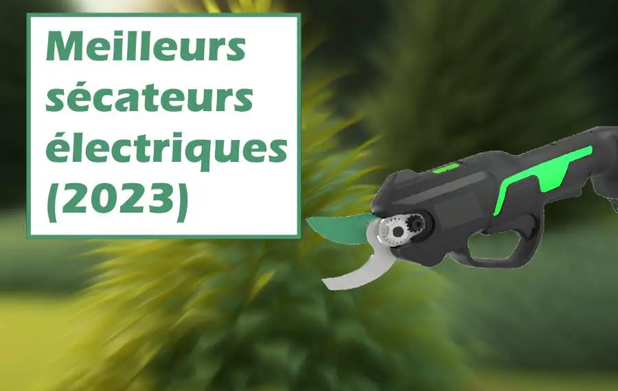 Meilleurs sécateurs électriques (2023) : guide et comparatif