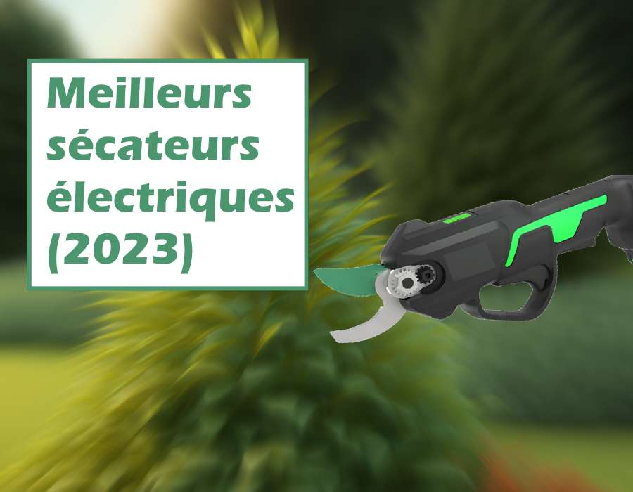 Coupe bûches : Comparatif Tests et Avis 2024