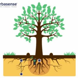 Une solution innovante pour l'arrosage des espaces verts révolutionne le marché