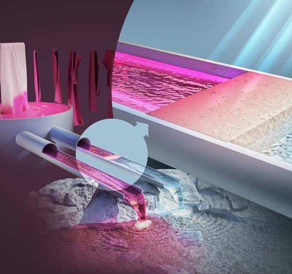 Une tech en bois élimine 80 % des polluants colorants dans les eaux usées
