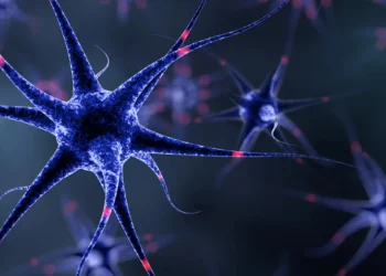 Des composants informatiques inspirés des cellules du cerveau