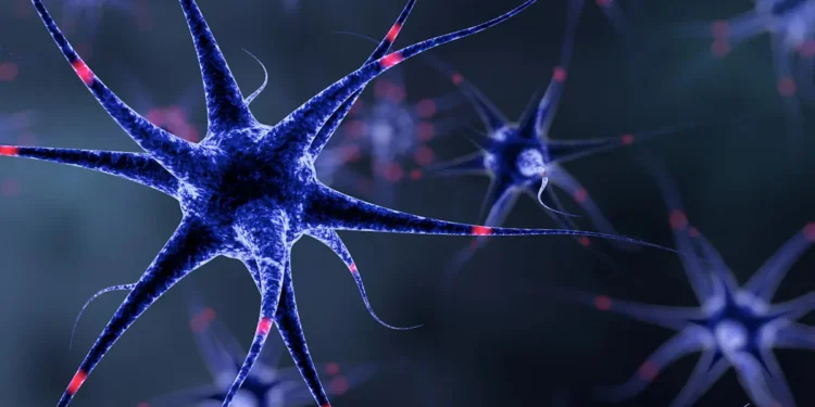 Des composants informatiques inspirés des cellules du cerveau