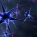 Des composants informatiques inspirés des cellules du cerveau