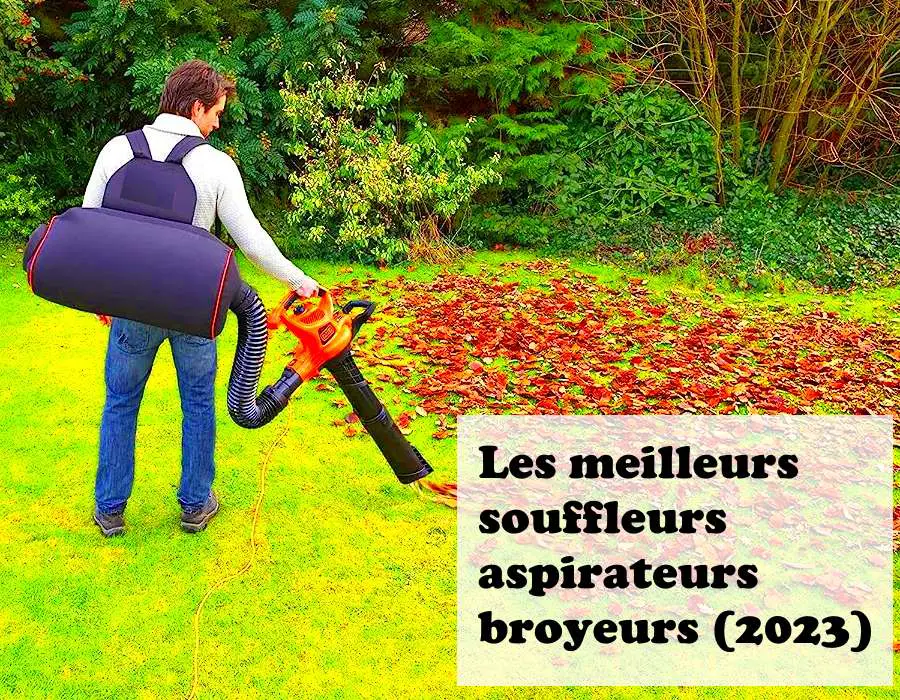 Souffleur de Feuilles sans Fil Mini Haute Puissance Portable alimenté par  Batterie Aspirateur de Feuilles Souffleur de Feuilles électrique pour