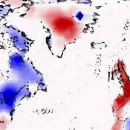 L'IA améliore la prédiction des canicules en réponse aux changements climatiques