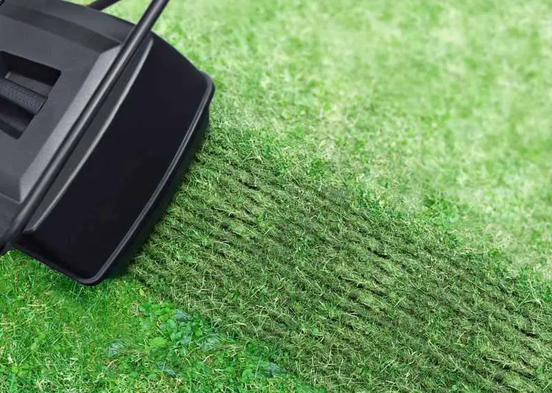Meilleurs scarificateurs électriques (2023) : Guide et comparatif