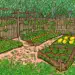 Les 10 meilleurs outils électriques pour entretenir un potager