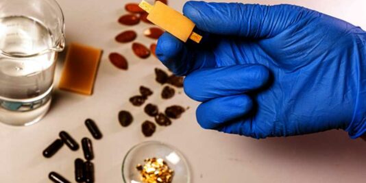 Une batterie rechargeable fabriquée à partir d'aliments