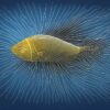 Batterie électrique auto-rechargeable inspirée des poissons