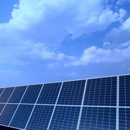 Deux nouveaux parcs solaires en construction aux Pays-Bas (20,6 MWc)