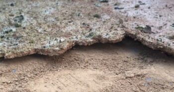Les bio-croûtes, gardiens de la santé des sols en danger