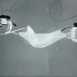 Des robots méduses pourraient un jour nettoyer les océans de la planète