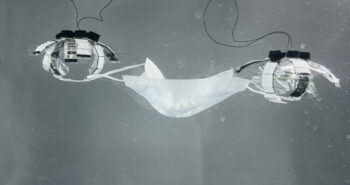 Des robots méduses pourraient un jour nettoyer les océans de la planète