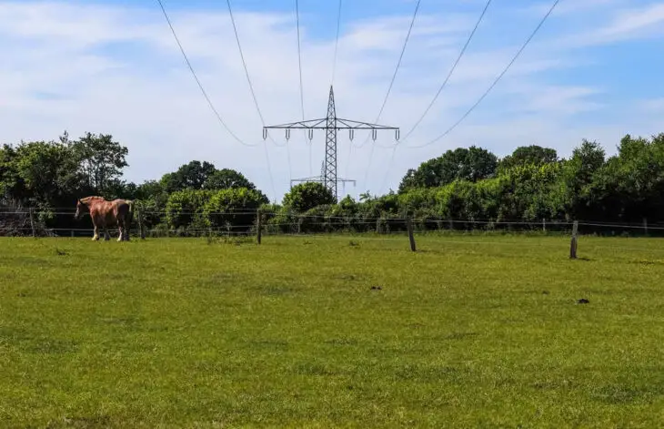 Europe : décarbonation, inégalités et enjeux régionaux